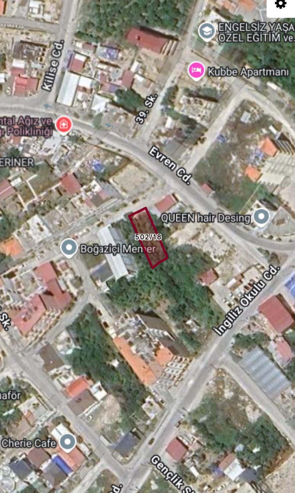 Fotoğraf